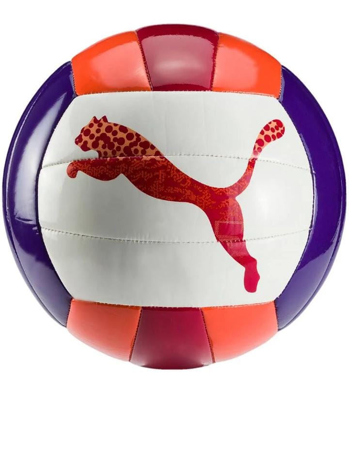 PUMA VOLLEYBALL (08274801)
