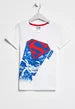 PUMA JUSTICE LEAGUE TSHIRT (59256402)
