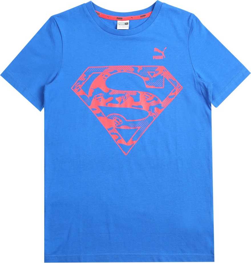 PUMA GRAPHIC TSHIRT (59256408)