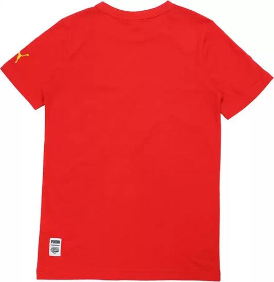 PUMA TSHIRT (85026705)