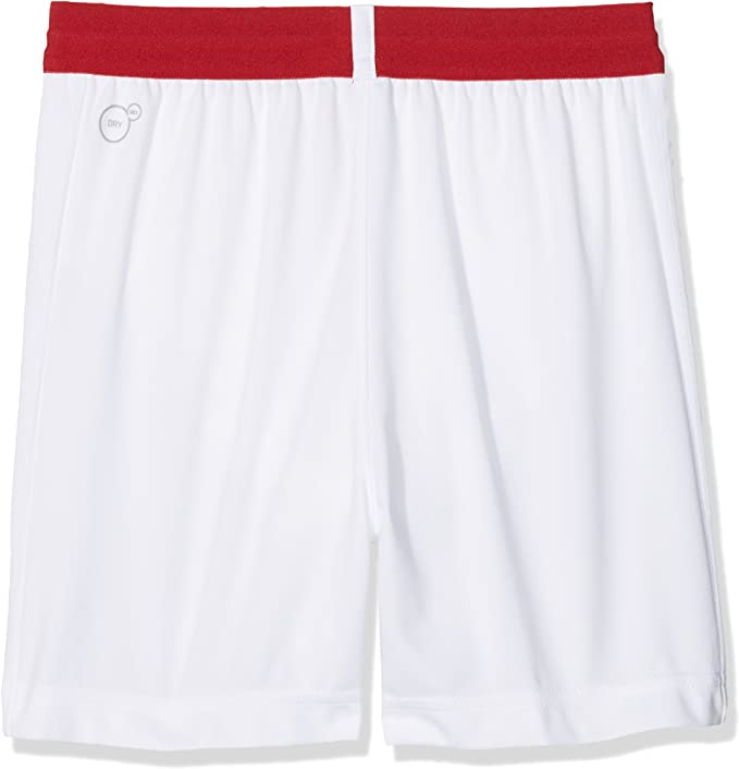 PUMA ARSENAL FC SHORTS - 75323110