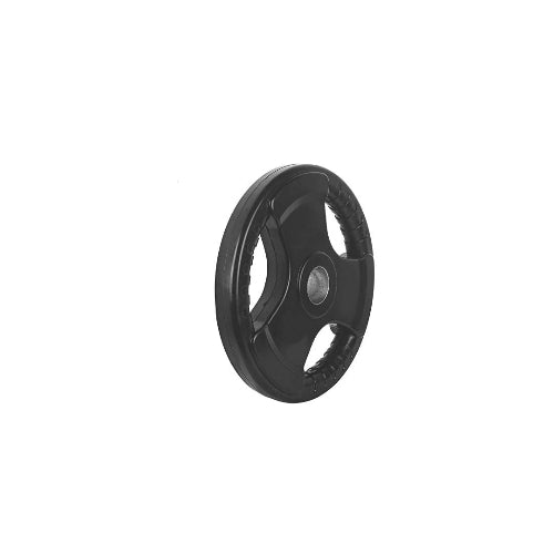 31 MM WEIGHT PLATES 5 KG