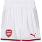 PUMA  JERSEY  SHORTS  (75152701)