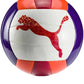 PUMA  VOLLEYBALL (08274801)
