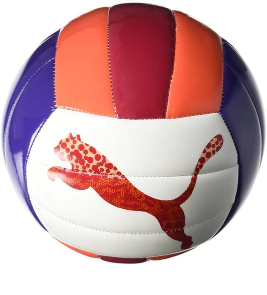 PUMA  VOLLEYBALL (08274801)