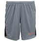 NIKE  SHORTS - (HJ3797-066)