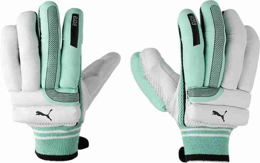 PUMA EVO 6  BATTING GLOVES - (RH)