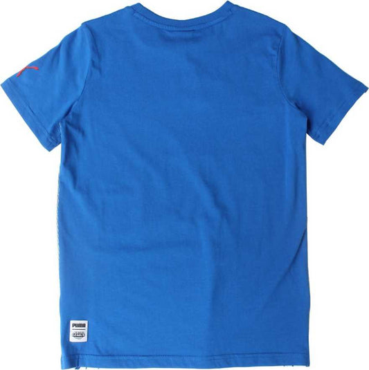 PUMA PRINTED BLEND TSHIRT  (85026763)