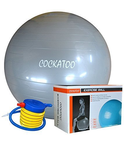 COCKATOO  EXERCISE  BALL