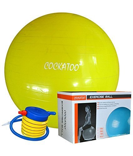 COCKATOO  EXERCISE  BALL