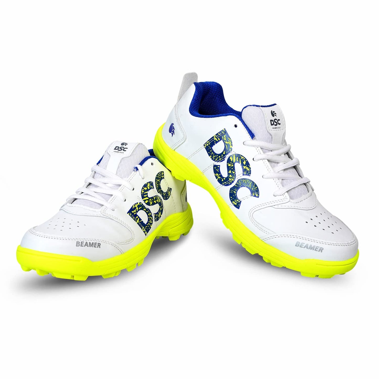 DSC  CRICKET  SHOES