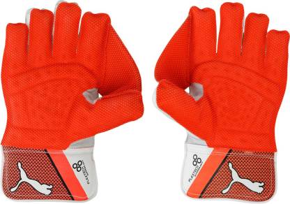 PUMA EVO 2 WICKET KEEPER GLOVES