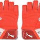PUMA EVO 3 WK GLOVES