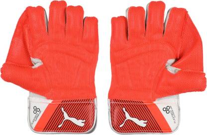 PUMA EVO 3 WK GLOVES