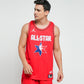 NIKE   JORDAN  JERSEY